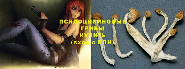 ECSTASY Аркадак