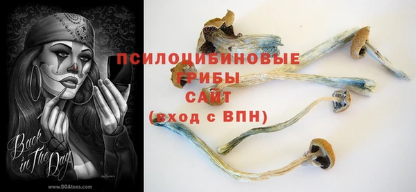 ECSTASY Аркадак