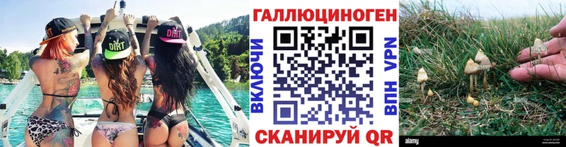 Псилоцибиновые грибы прущие грибы  blacksprut ссылки  Похвистнево 